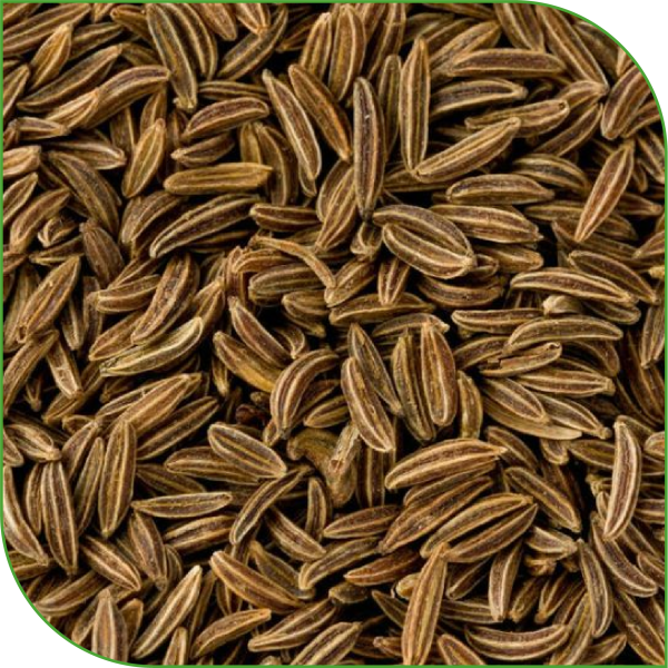 Caraway Seeds