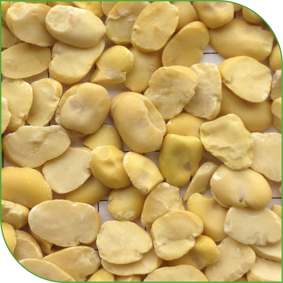 Split Broad Beans