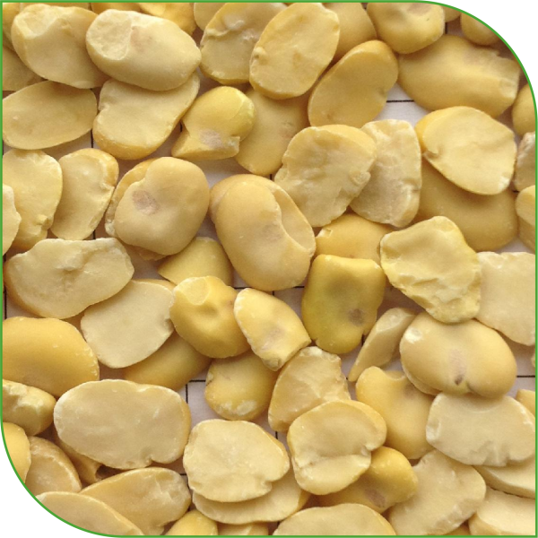 Split Broad Beans