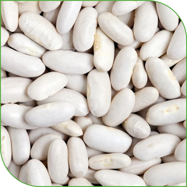 White Beans