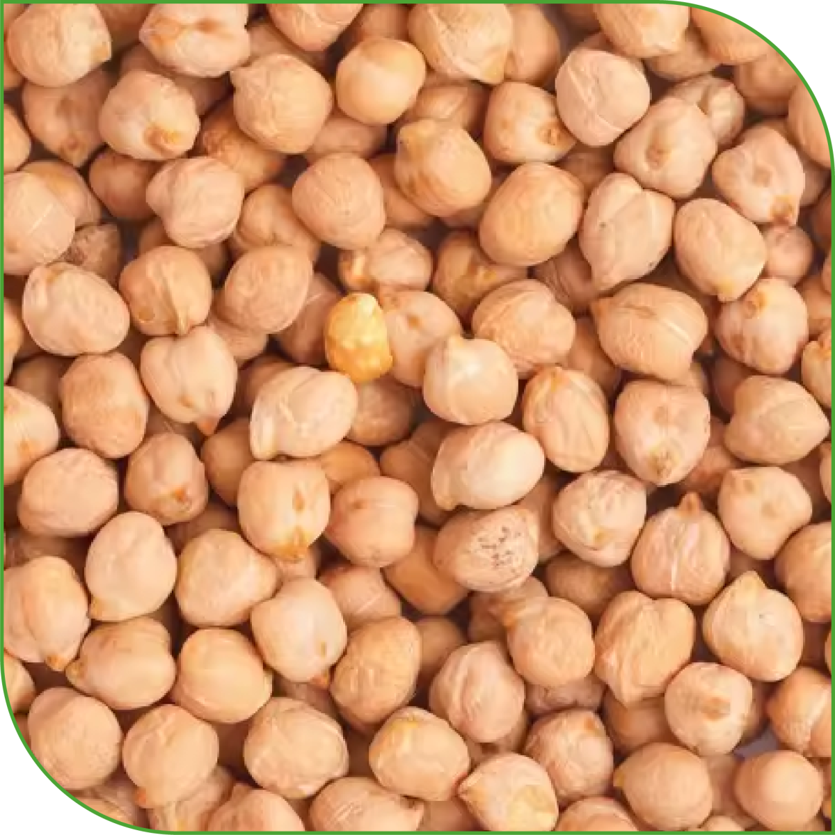 Chickpeas