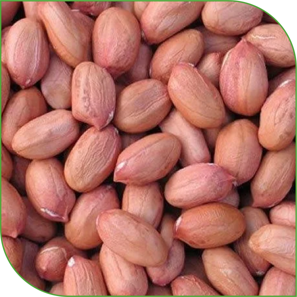 Red Skin Peanuts