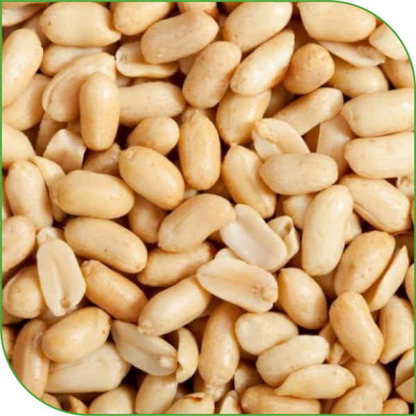 Blanched Peanuts